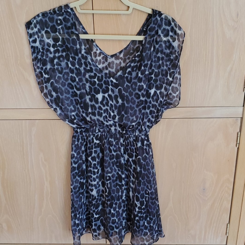 Express V neck leopard print dress Size XS